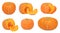 Set whole and sliced pumpkins (isolated)