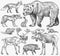 Set of Wild animals. Brown Grizzly Bear Forest Moose Red Fox North Boar Wolf Sable Badger Gray Hare Reindeer River otter