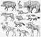 Set of Wild animals. Brown Grizzly Bear Forest Moose Red Fox North Boar Wolf Sable Badger Gray Hare Reindeer River otter