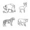 Set of wild animals in sketch style, vector illustration