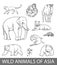 Set of wild asian animals outline illustration. Educational zoology poster, coloring book picture