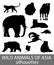 Set of wild asian animals silhouettes. Educational zoology illustration, activity book picture