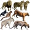Set of wild mammals animals from cat family isolated