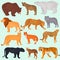 Set of wild predators color flat icons