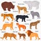 Set of wild predators with their names color flat icons