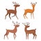 Set of winter deer animals