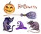 Set of witchs hat, pumpkin, cat, rat Halloween