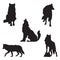 set of wolf silhouettes. Vector illustration decorative design