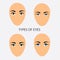 Set of woman eyes types vector flat Illustration