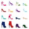 Set of women shoes, vector illustration