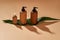 Set of wooden bottles or containers of different sizes on green leaf isolated on beige background. Zero waste and eco