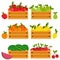 Set of wooden crates with different fruits. Vector illustration