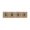 Set of wooden cubes with text 2024, vector illustration