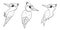 Set of Woodpeckers birds, outline vector cartoon illustration