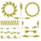 A set of wreaths, frames, dividers and corners from spikelets, cereal plants for a decorative design for a flyer, leaflet or