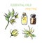 Set of ylang essential oil