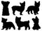 Set of Yorkshire Terrier Dog silhouette vector art