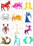 Set of Zodiac or Astrology Symbols