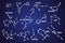 Set of zodiac signs constellation stars on space sky background