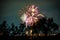 Setagaya-ku, Tama River fireworks display 2019