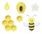 Seth bear bee honey beehive watercolor childish illustration card design scrapbooking stickers stickers poster congratulations inv