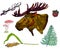 Seth in forest style isolated Moose with mushrooms, flowers, leaves, wheat, branches, acorns on a white background.For printing on