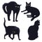 Seth Illustration of four black cats in different poses isolated on a white background.