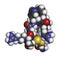 Setmelanotide drug molecule (MC4 receptor agonist). 3D rendering. Atoms are represented as spheres with conventional color coding