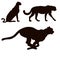 Setof silhouettes of cheeetah icons