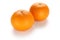 Setoka orange , japanese high quality citrus fruit