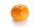 Setoka orange , japanese high quality citrus fruit