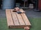 Sets of beanbags in competitive game of cornhole on a lumber platform