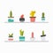 Sets icon of cactus in pots on shelves