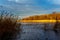 The setting autumn sun illuminates the coastal vegetation