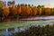 Setting Sun on the Bright Fall Foliage of Cypress Trees