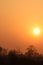 Setting sun in clear orange and yellow sky, trees