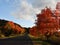Setting sun illuminates Autumn trees on country road