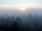 A setting sun illuminates a thick bank of fog framed by several layers of trees in front