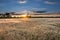 The setting sun over a field sown with grain.