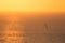 The setting sun shining in the orange sinking in the sea of Japan