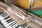 Setting up an old piano. The master repairs an old piano. Deep cleaning the piano. Hands of professional worker repairing and