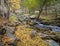 The Seturia river among autumnal vegetation