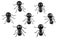 Seven Black Ants White Background