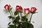 Seven bouquets of roses in a vase at the wall built