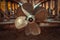 Seven brass blades yacht propeller closeup