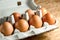 Seven brown chicken eggs in a carton paper packaging on a kitchen table. Eggs for breackfast. Healthy eating and food Ingredients