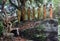 Seven Buddhas in the Forest, Induwaru, Sri Lanka