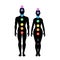 Seven chakra system in human body, infographic with male and female silhouette, standing man & woman, vector illustration