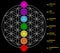 Seven chakras Set of seven chakra symbols with names. This is religion, philosophy, and spirituality symbols.