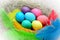 Seven chicken easter eggs coloring in rainbow colors are in a hay nest with ostrich colorful feathers